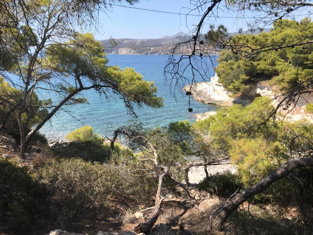 Vana Kavos Appartamento Agia Marina  Esterno foto