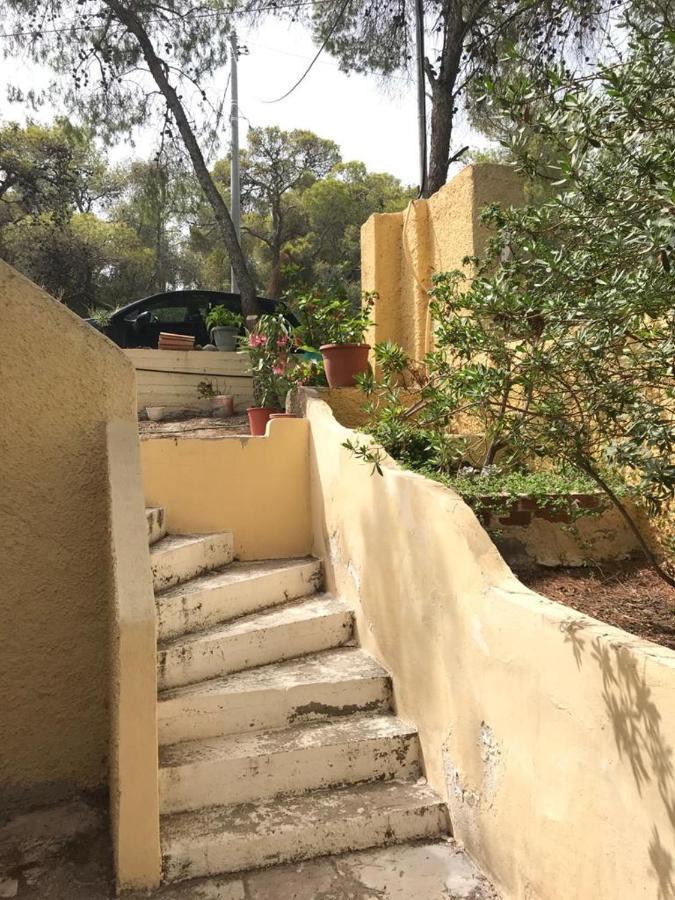 Vana Kavos Appartamento Agia Marina  Esterno foto